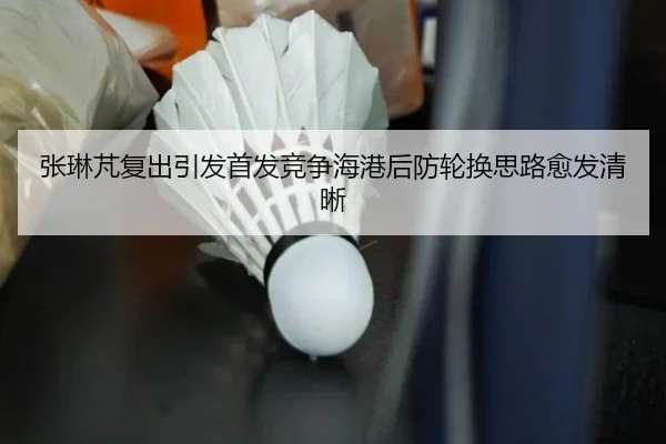 张琳芃复出引发首发竞争海港后防轮换思路愈发清晰